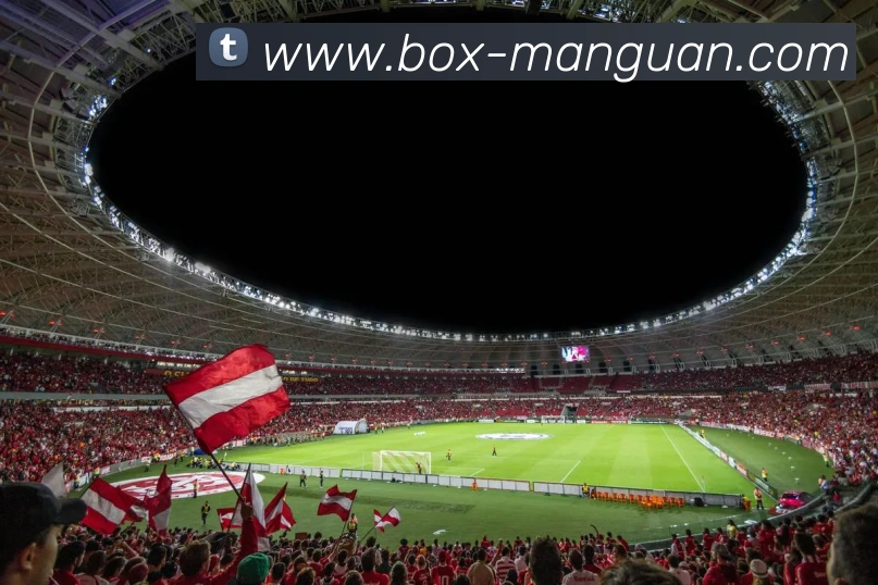 满冠体育服务体系